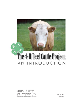 The 4-H Beef Project