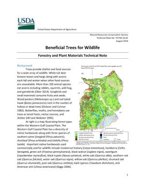 Beneficial Trees for Wildlife Forestry and Plant Materials Technical Note