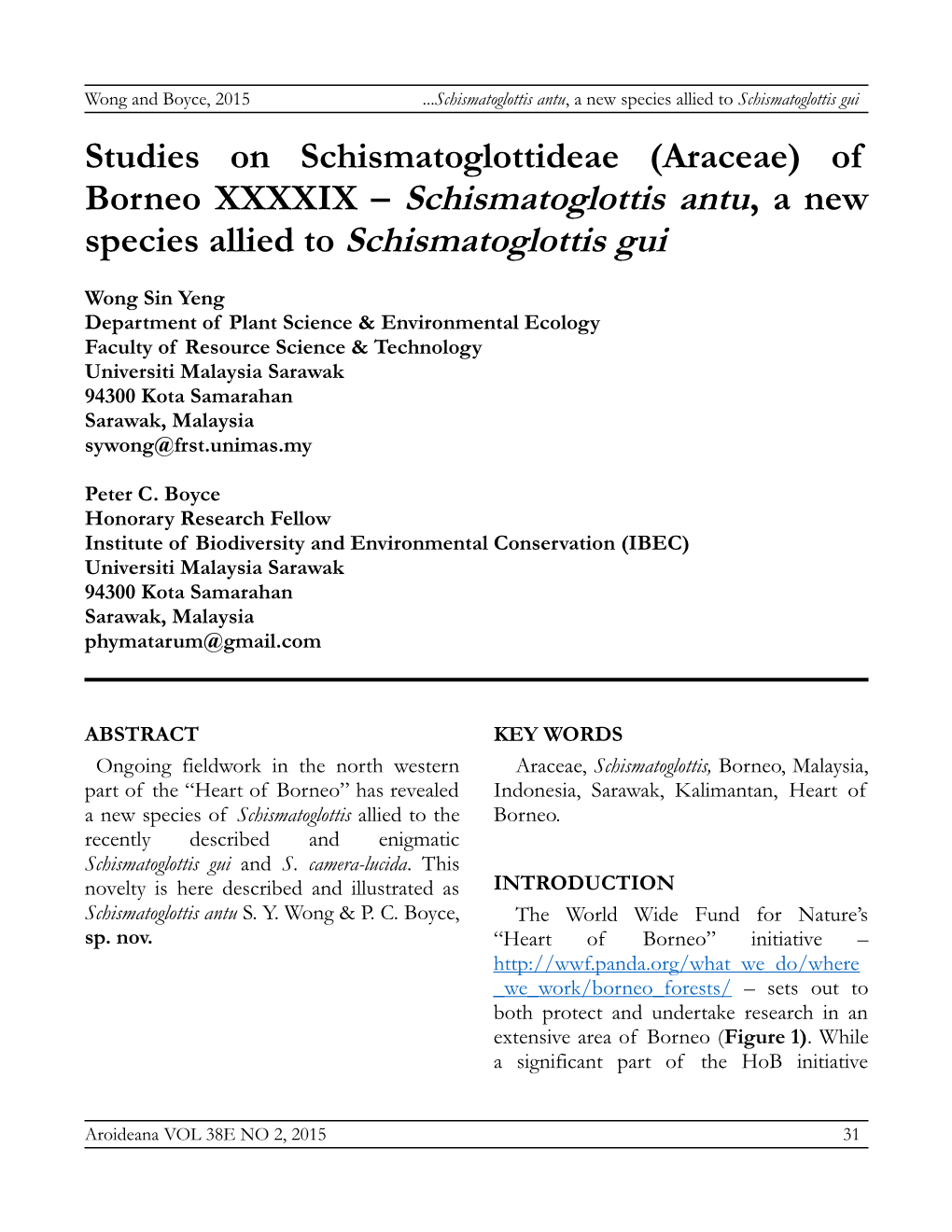 Borneo XXXXIX – Schismatoglottis Antu, a New Species Allied to Schismatoglottis Gui