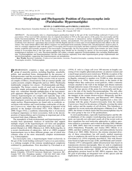 Morphology and Phylogenetic Position of Eucomonympha Imla (Parabasalia: Hypermastigida)