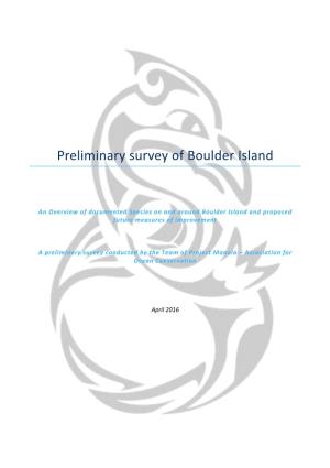 Preliminary Survey of Boulder Island