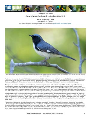 Maine in Spring: Northeast Breeding Specialties 2018