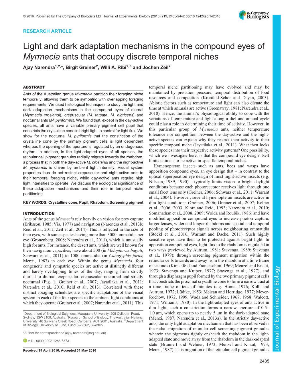 Light and Dark Adaptation Mechanisms in the Compound Eyes of Myrmecia Ants That Occupy Discrete Temporal Niches Ajay Narendra1,2,*, Birgit Greiner2, Willi A