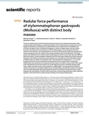 Radular Force Performance of Stylommatophoran Gastropods (Mollusca) with Distinct Body Masses Wencke Krings1,3*, Charlotte Neumann1, Marco T