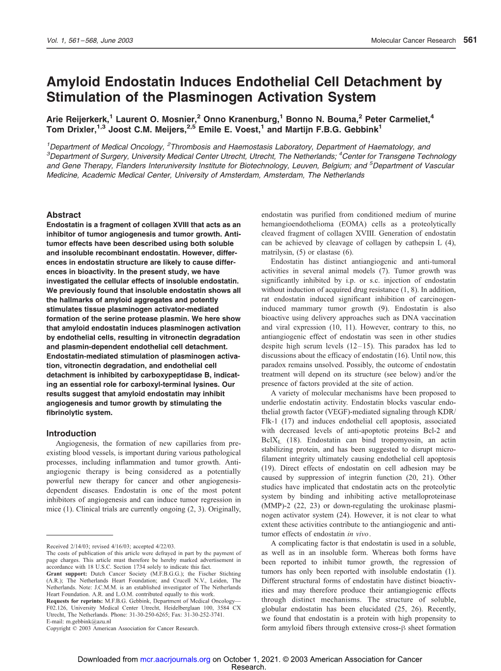 Amyloid Endostatin Induces Endothelial Cell Detachment by Stimulation of the Plasminogen Activation System