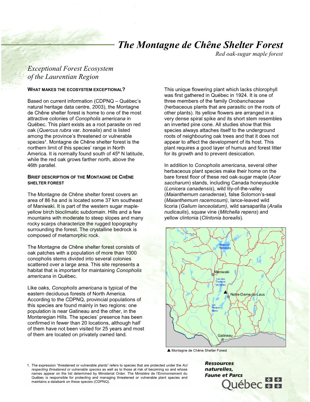 Exceptional Forest Ecosystem of the Laurentian Region