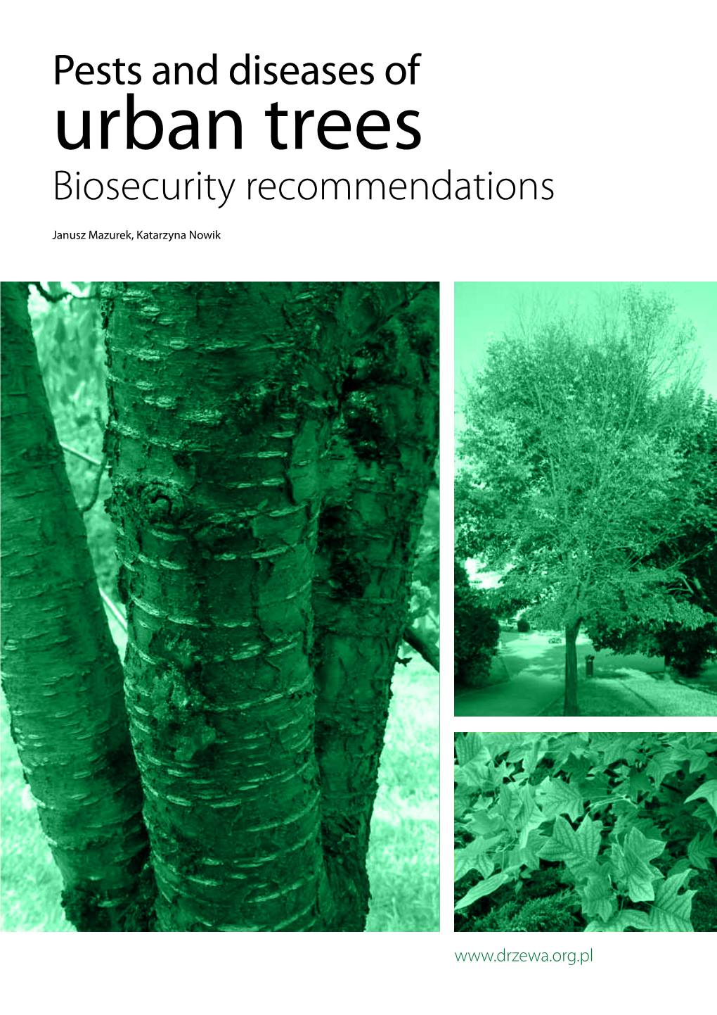 Urban Trees Biosecurity Recommendations