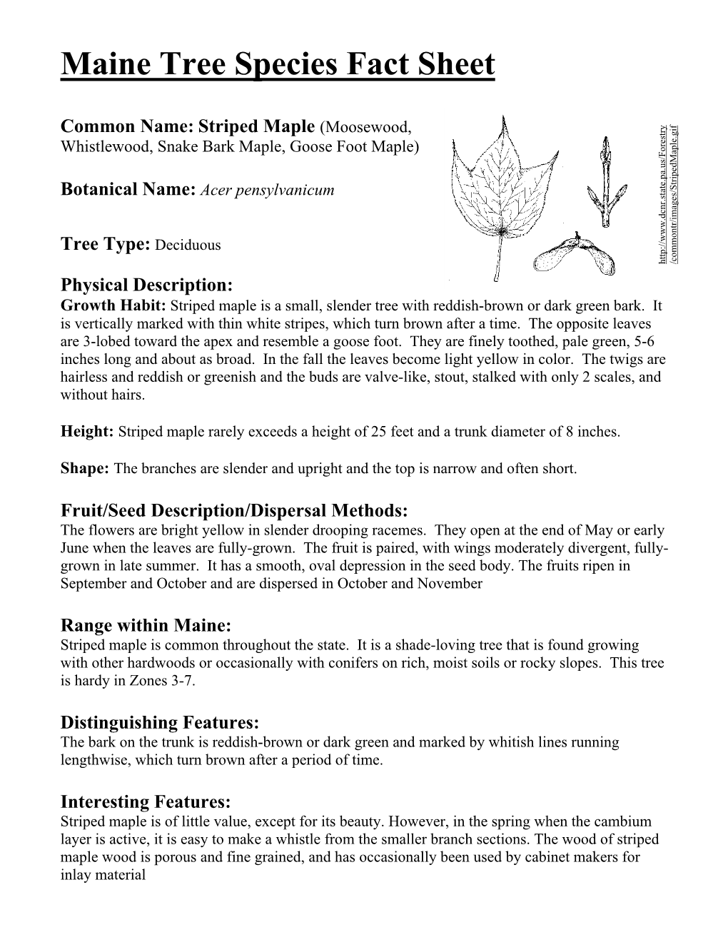 Maine Tree Species Fact Sheet