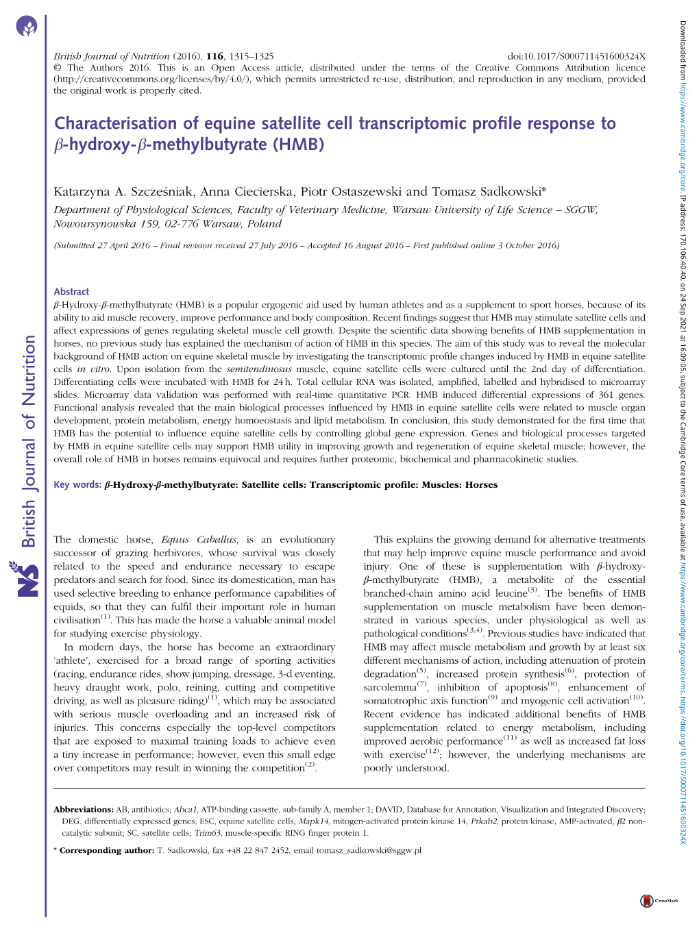Characterisation of Equine Satellite Cell Transcriptomic Profile Response