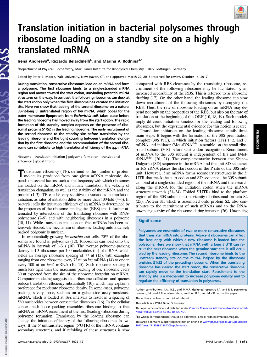 Translation Initiation in Bacterial Polysomes Through Ribosome Loading on a Standby Site on a Highly Translated Mrna