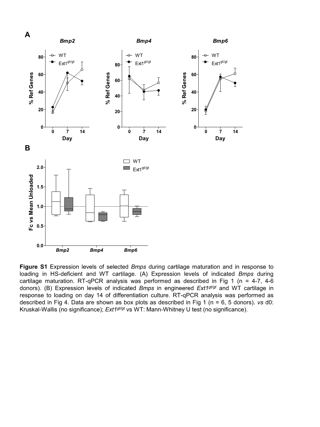 Figure S1 Expression Levels of Selected Bmps During Cartilage Maturation and in Response to Loading in HS-Deficient and WT Cartilage