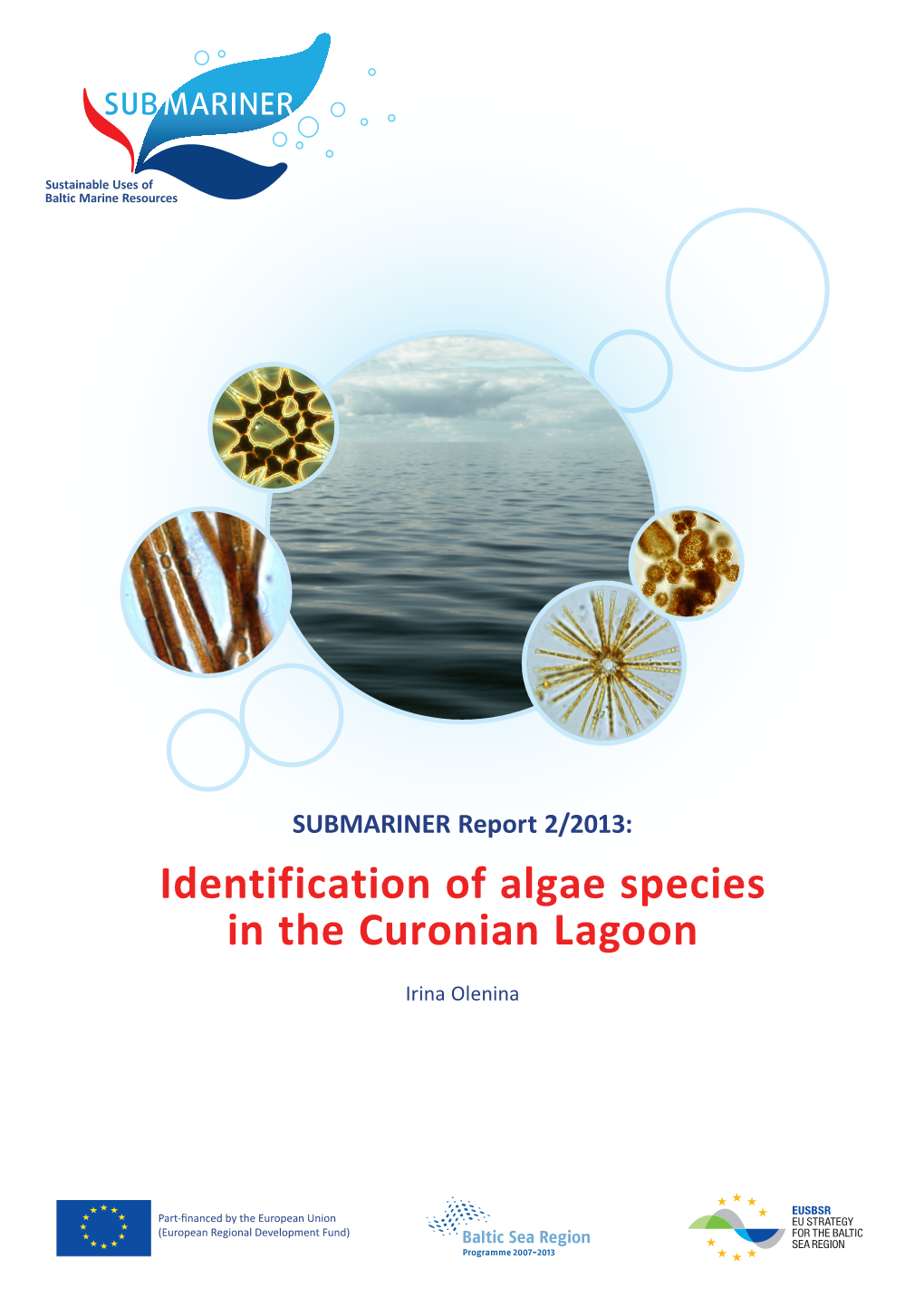 Identification of Algae Species in the Curonian Lagoon
