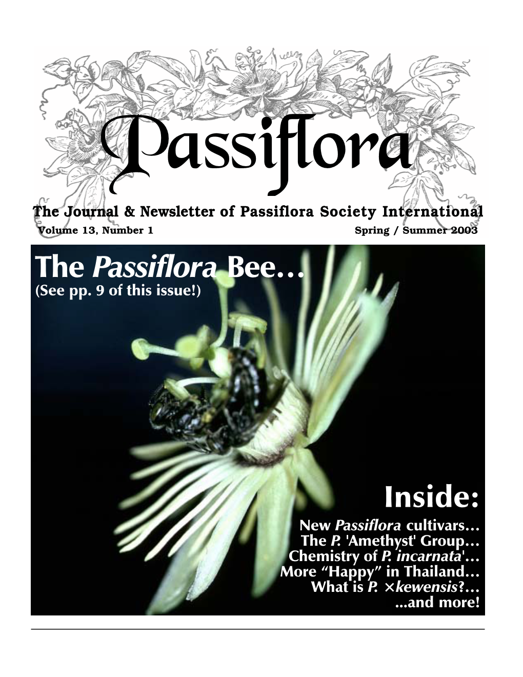 Inside: the Passiflora Bee…
