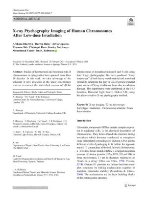X-Ray Ptychography Imaging of Human Chromosomes After Low-Dose Irradiation