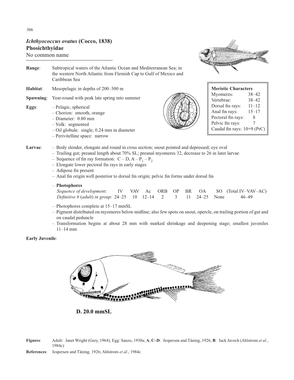 Phosichthyidae, Chauliodontidae, Stomiidae, Astronesthidae