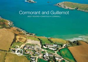 Cormorant and Guillemot WEST PENTIRE • CRANTOCK • CORNWALL