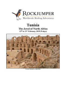 Tunisia the Jewel of North Africa 13Th to 21St February 2018 (9 Days)