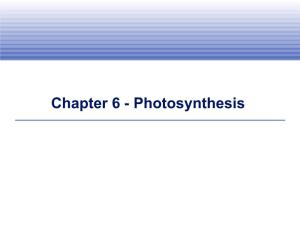 Chapter 6 - Photosynthesis Sunlight As an Energy Source