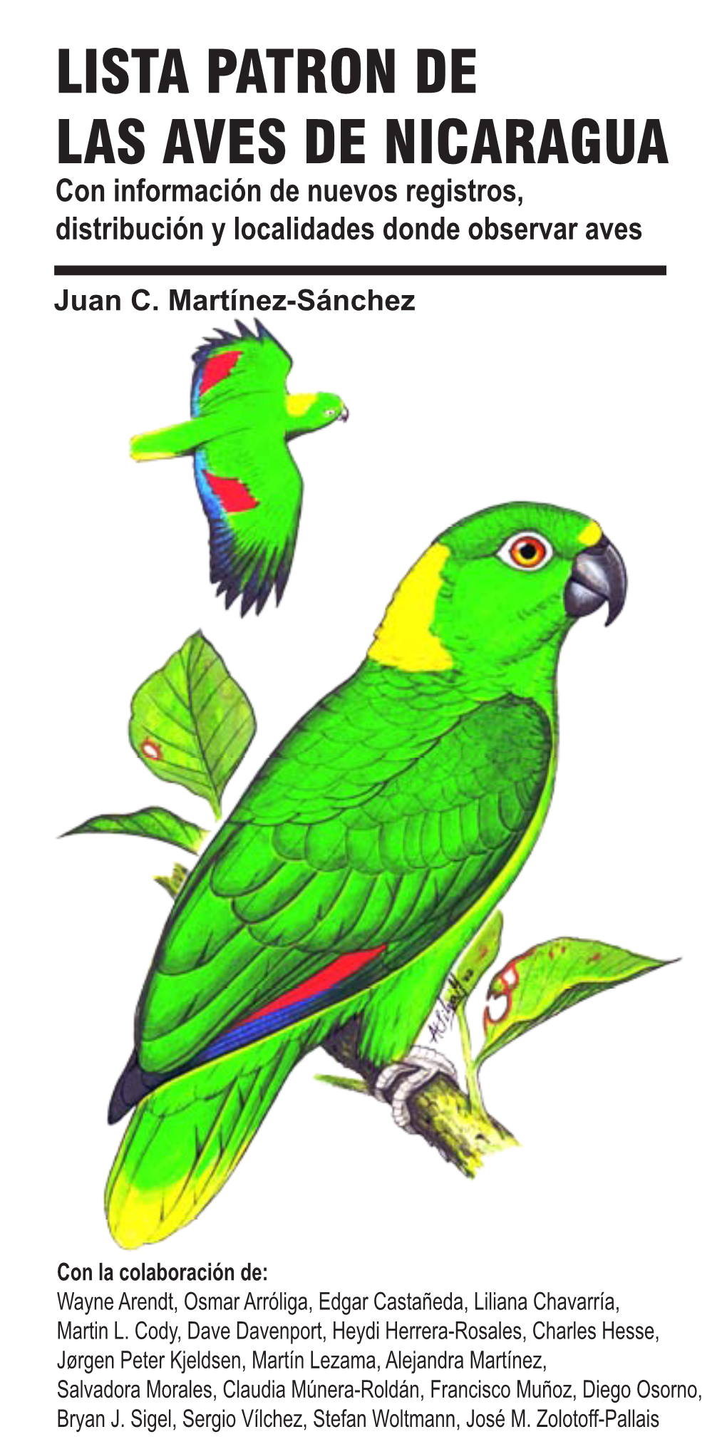 LISTA PATRON DE LAS AVES DE NICARAGUA Con Información De Nuevos Registros, Distribución Y Localidades Donde Observar Aves