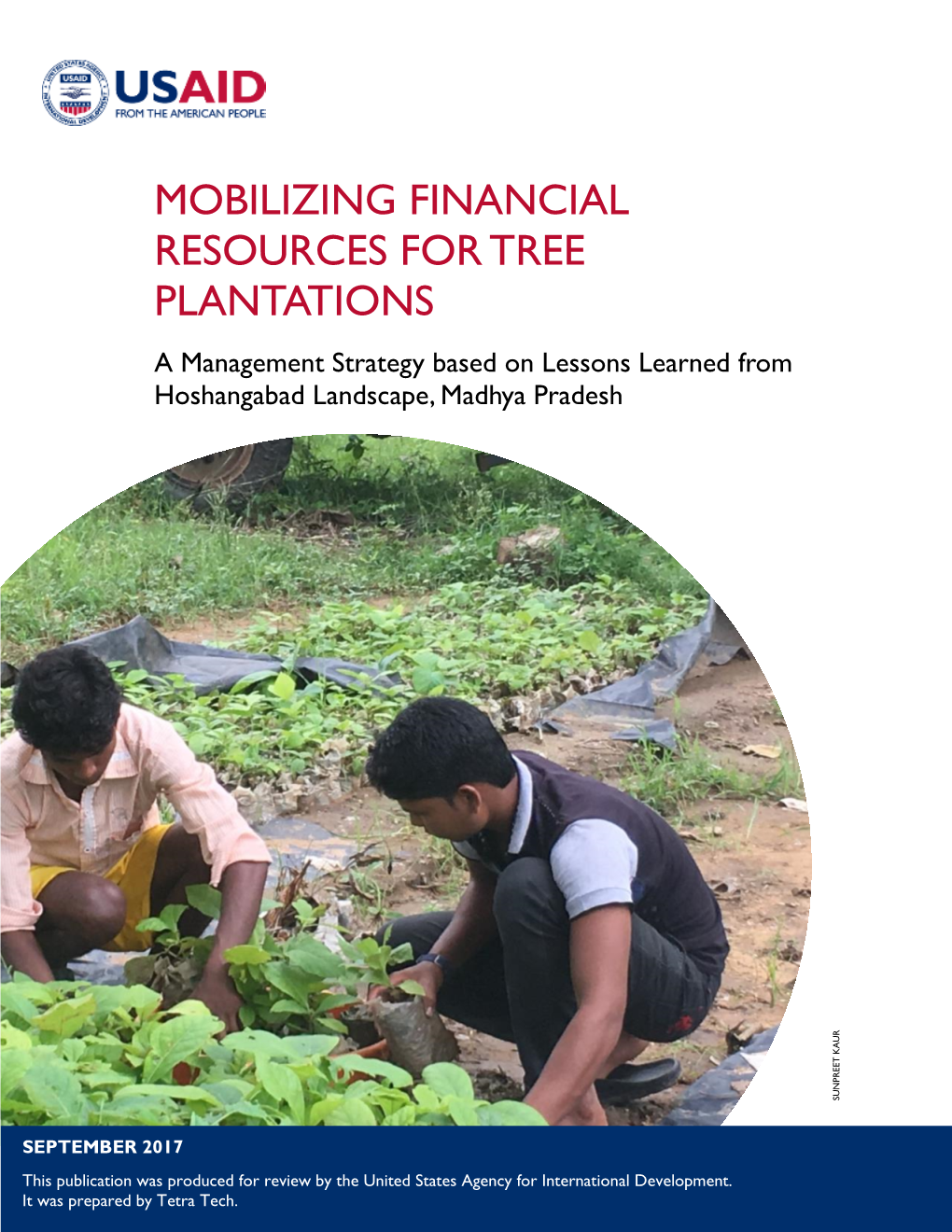 MOBILIZING FINANCIAL RESOURCES for TREE PLANTATIONS a Management Strategy Based on Lessons Learned from Hoshangabad Landscape, Madhya Pradesh