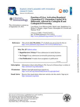 Cathepsin D Processing Differently Affected by Cathepsin B And