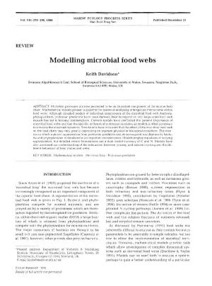 Modelling Microbial Food Webs