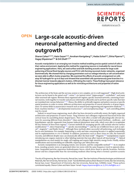 Large-Scale Acoustic-Driven Neuronal Patterning and Directed Outgrowth