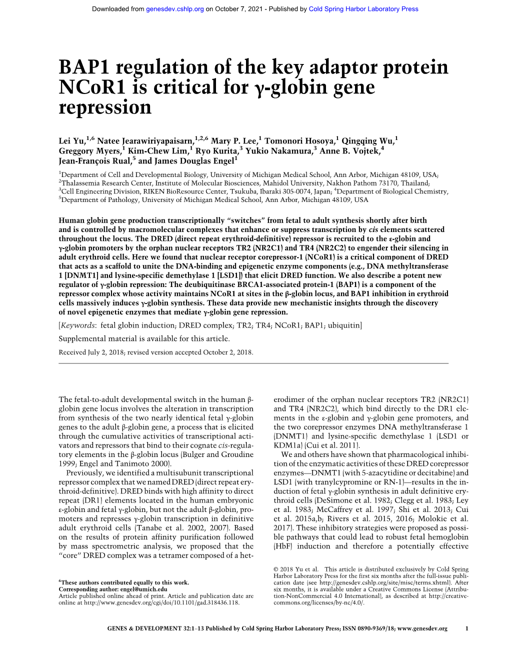 BAP1 Regulation of the Key Adaptor Protein Ncor1 Is Critical for Γ-Globin Gene Repression