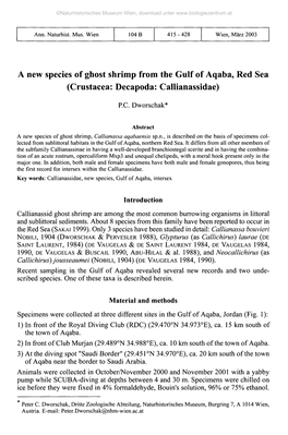 A New Species of Ghost Shrimp from the Gulf of Aqaba, Red Sea (Crustacea: Decapoda: Callianassidae)