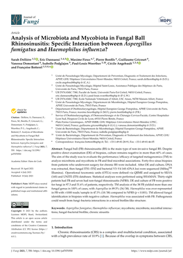 Analysis of Microbiota and Mycobiota in Fungal Ball Rhinosinusitis: Speciﬁc Interaction Between Aspergillus Fumigatus and Haemophilus Inﬂuenza?