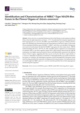 Identification and Characterization of Mikcc-Type MADS-Box Genes In