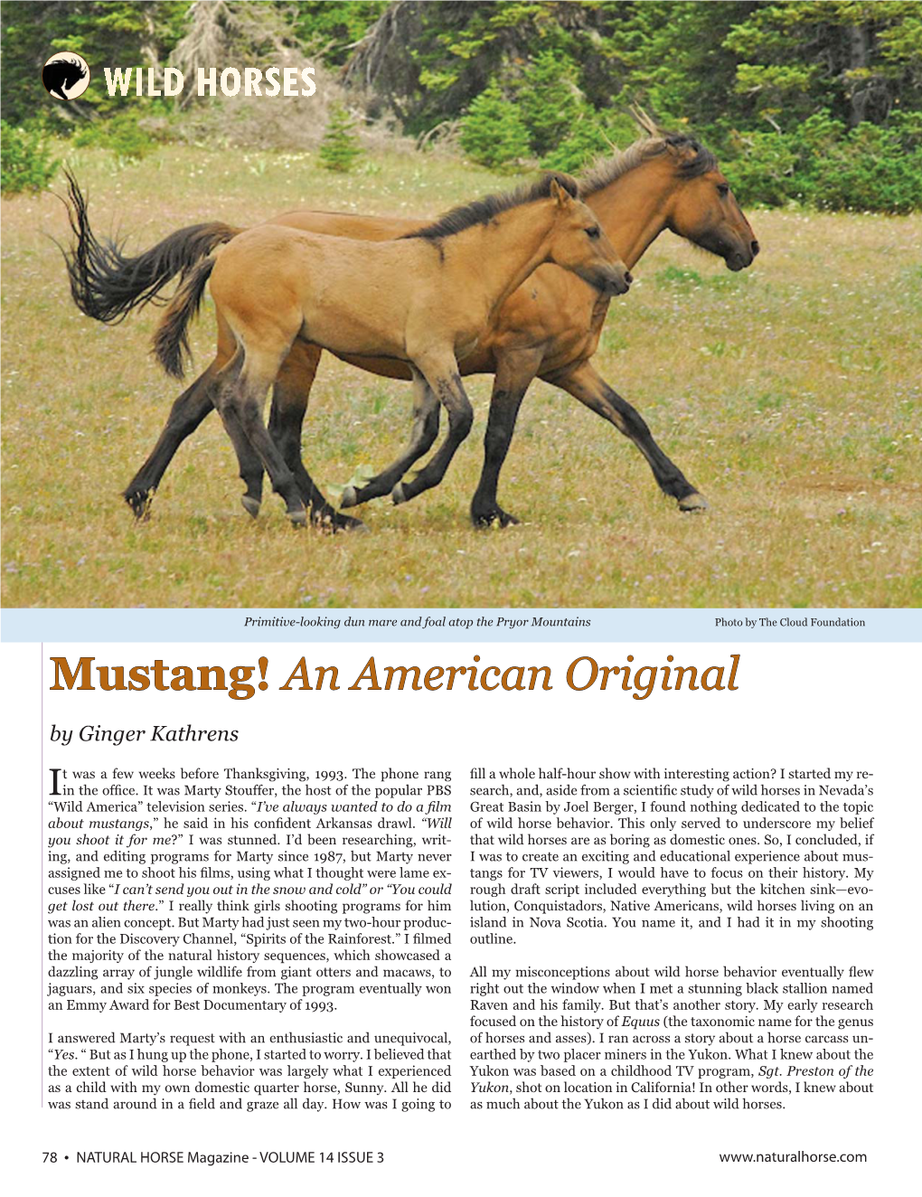 Mustang!Ustang! Aann Aamericanmerican Originaloriginal