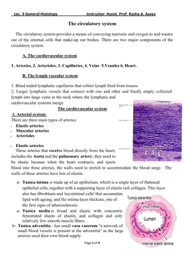 The Circulatory System