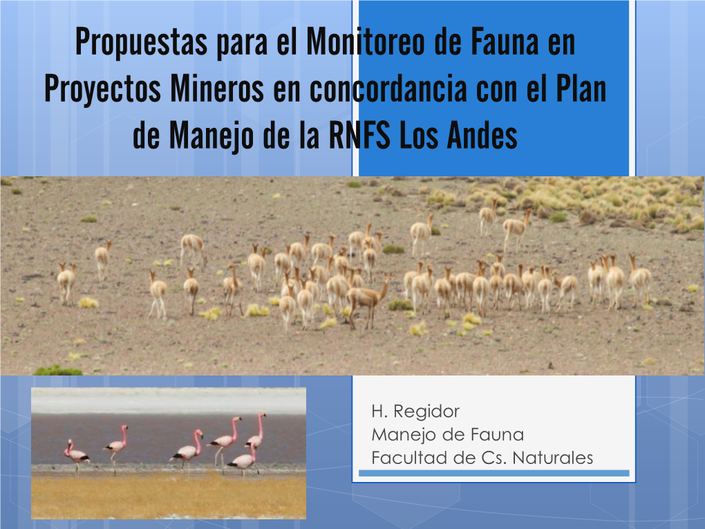 Propuestas Para El Monitoreo De Fauna En Proyectos Mineros En Concordancia Con El Plan De Manejo De La RNFS Los Andes