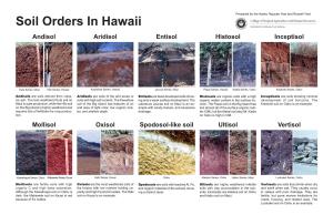 Soil Orders in Hawaii Andisol Aridisol Entisol Histosol Inceptisol