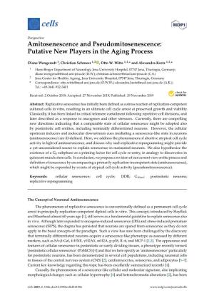 Putative New Players in the Aging Process
