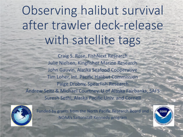 Observing Halibut Survival After Trawler Deck-Release with Satellite Tags