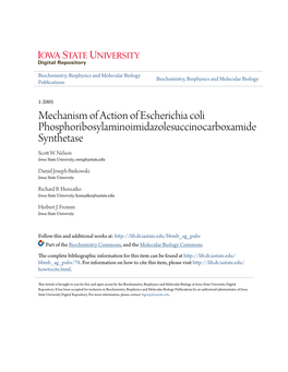 Mechanism of Action of Escherichia Coli Phosphoribosylaminoimidazolesuccinocarboxamide Synthetase Scott .W Nelson Iowa State University, Swn@Iastate.Edu