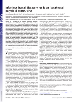 Infectious Bursal Disease Virus Is an Icosahedral Polyploid Dsrna Virus