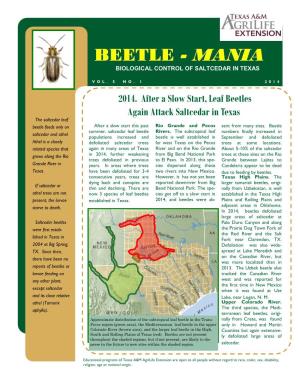 Beetle - Mania Biological Control of Saltcedar in Texas