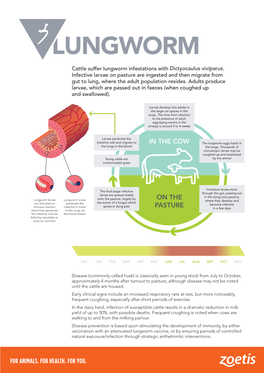 Cattle-Diseases-Lungworm.Pdf