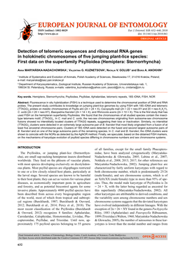 Detection of Telomeric Sequences and Ribosomal RNA Genes in Holokinetic