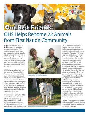 OHS Helps Rehome 22 Animals from First Nation Community