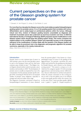 Current Perspectives on the Use of the Gleason Grading System for Prostate Cancer