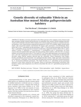 Genetic Diversity of Culturable Vibrio in an Australian Blue Mussel Mytilus Galloprovincialis Hatchery