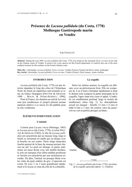 Présence De Lacuna Pallidula (Da Costa, 1778) Mollusque Gastéropode Marin En Vendée