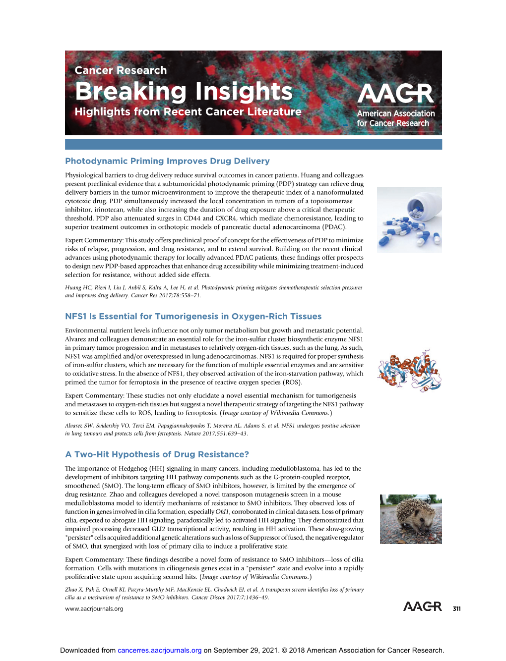 Breaking Insights Highlights from Recent Cancer Literature