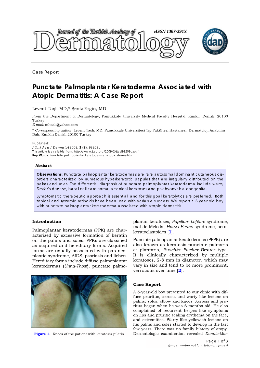 Punctate Palmoplantar Keratoderma Associated with Atopic Dermatitis: a Case Report