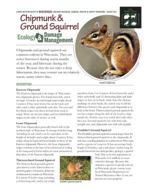 Chipmunk & Ground Squirrel