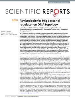 Revised Role for Hfq Bacterial Regulator on DNA Topology